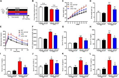 Modulation of the Gut Microbiota by Shen-Yan-Fang-Shuai Formula Improves Obesity Induced by High-Fat Diets